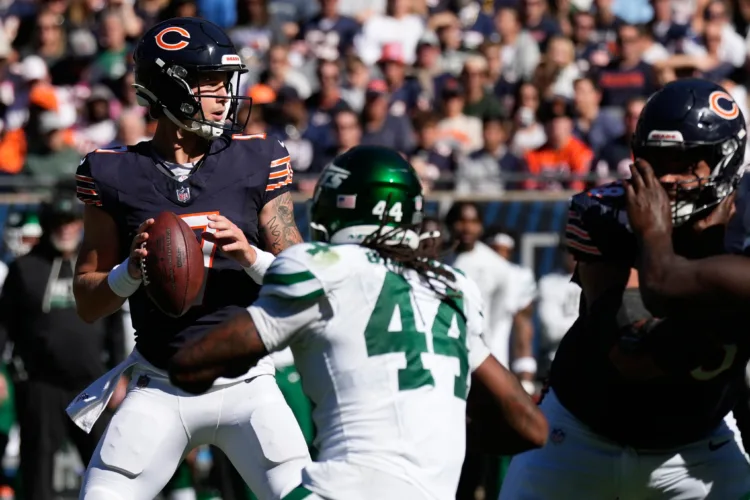 Bears and Lions eye road victories